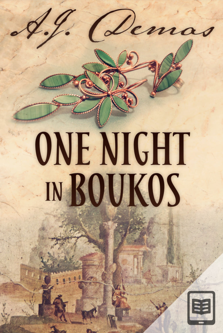 One Night in Boukos (EBOOK)